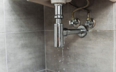 How to Detect and Diagnose Plumbing Leaks